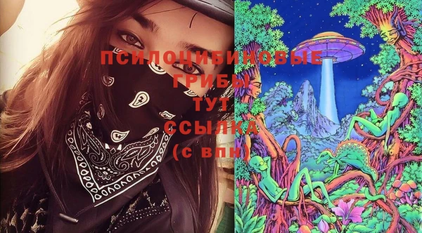 гидра Баксан